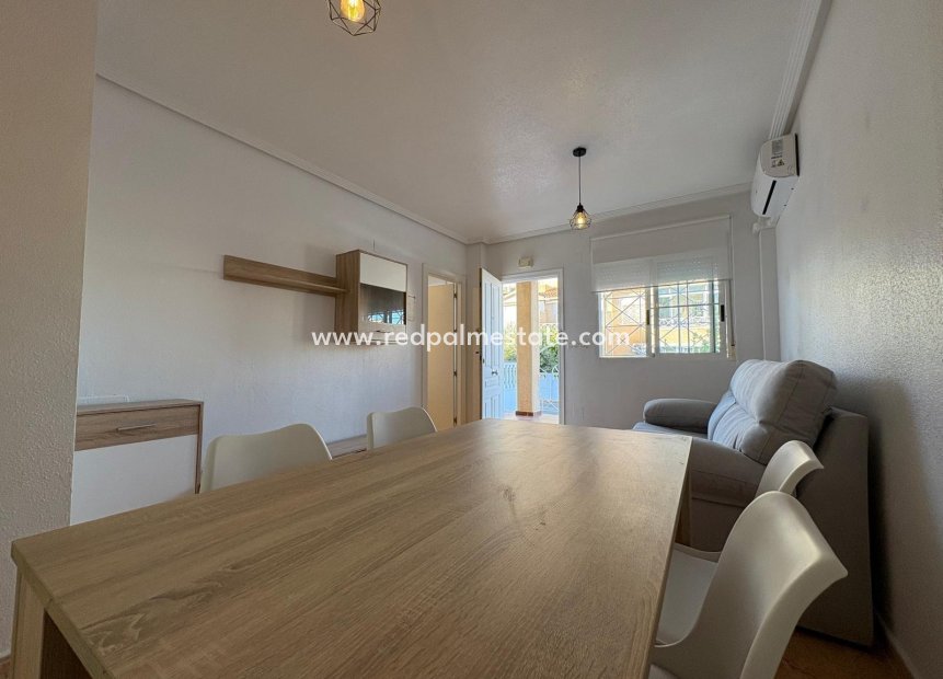 Återförsäljning - Bungalow -
Torrevieja - Paseo maritimo