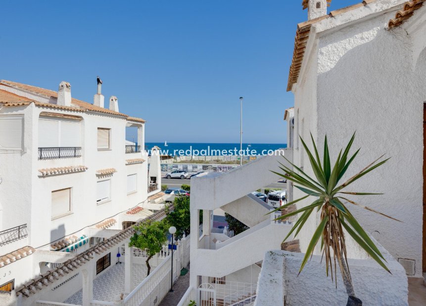 Återförsäljning - Bungalow -
Torrevieja - Playa de los Naufragos