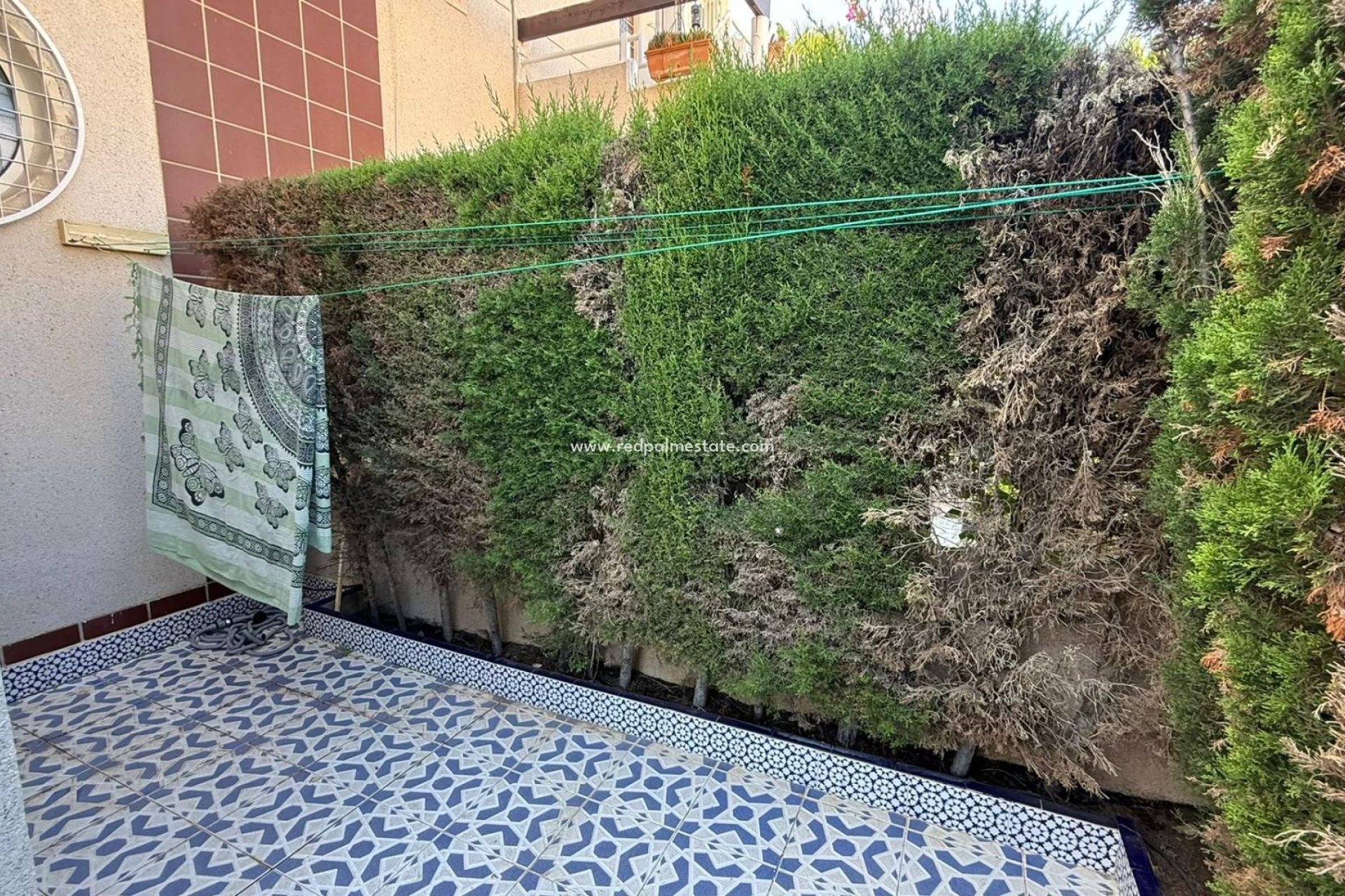 Återförsäljning - Bungalow -
Torrevieja - Punta prima
