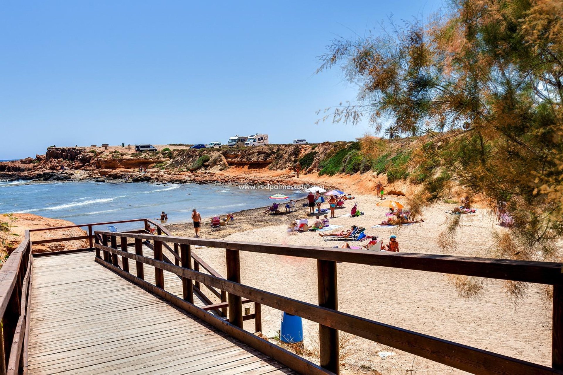 Återförsäljning - Bungalow -
Torrevieja - Rosaleda-los frutales