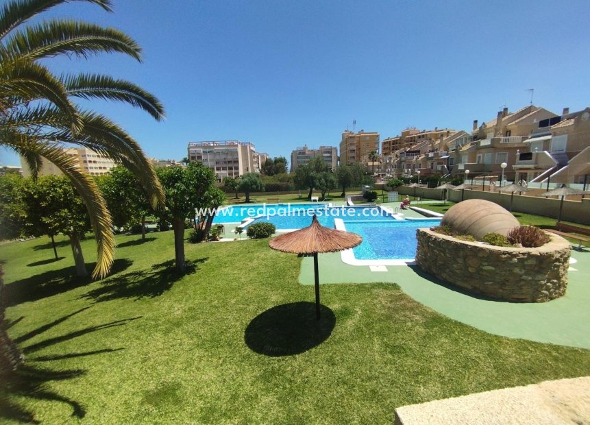 Återförsäljning - Bungalow -
Torrevieja - Torreblanca