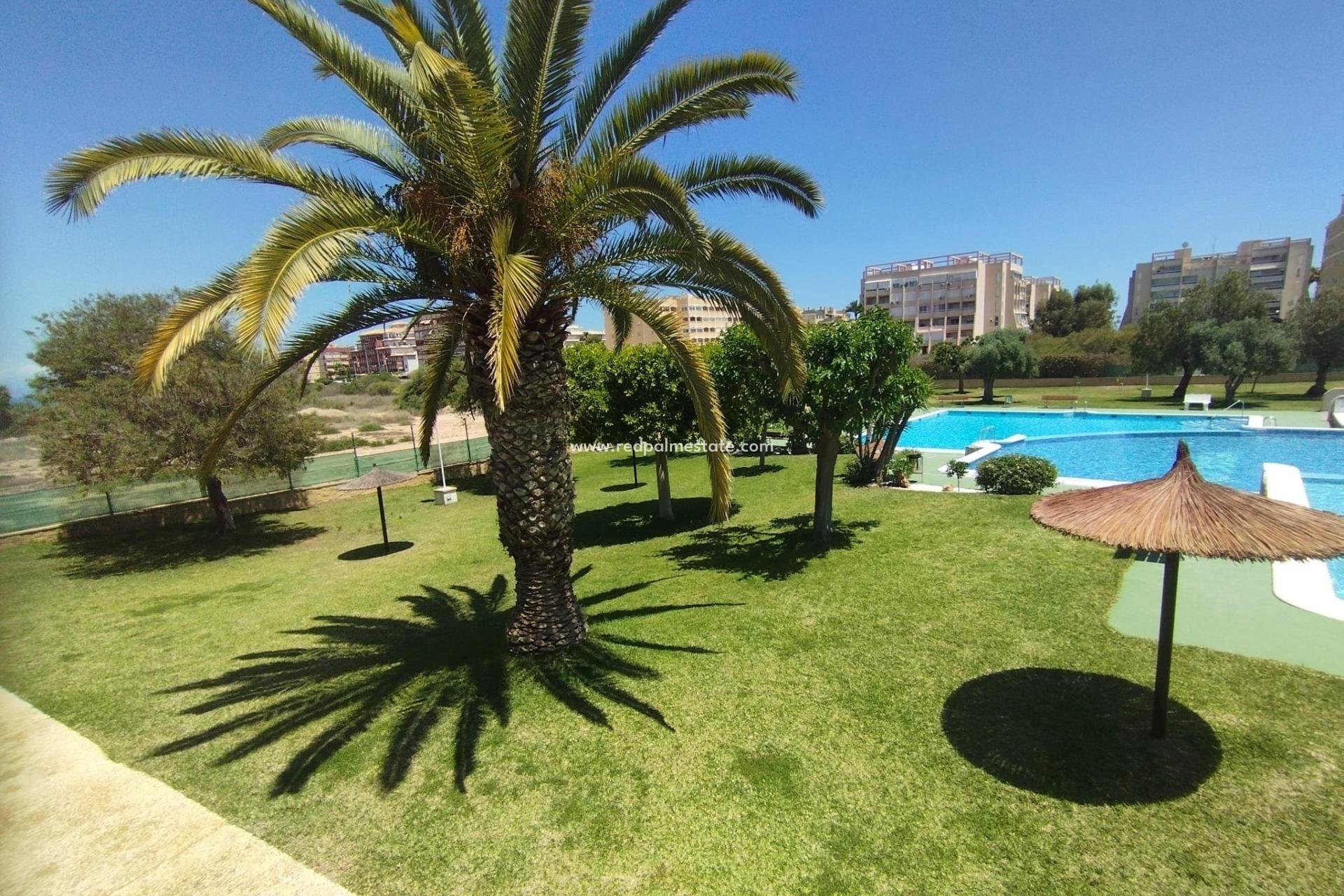 Återförsäljning - Bungalow -
Torrevieja - Torreblanca