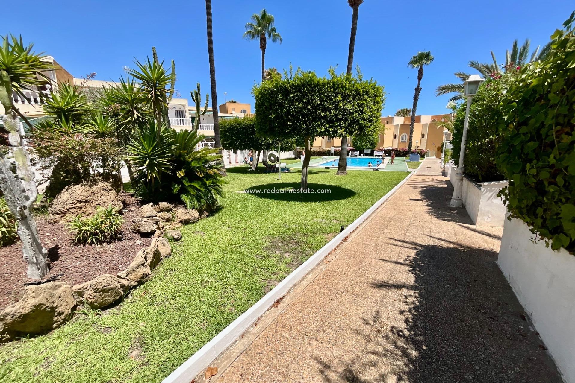 Återförsäljning - Bungalow -
Torrevieja - Torreblanca