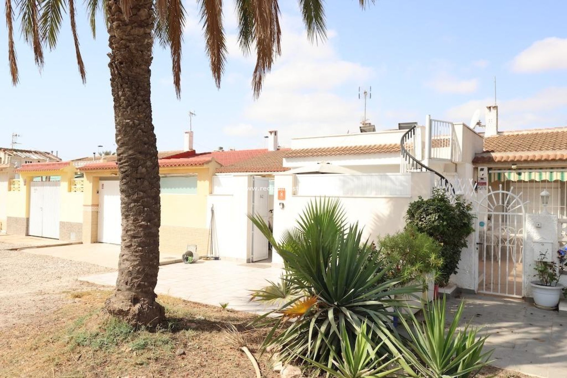 Återförsäljning - Bungalow -
Torrevieja