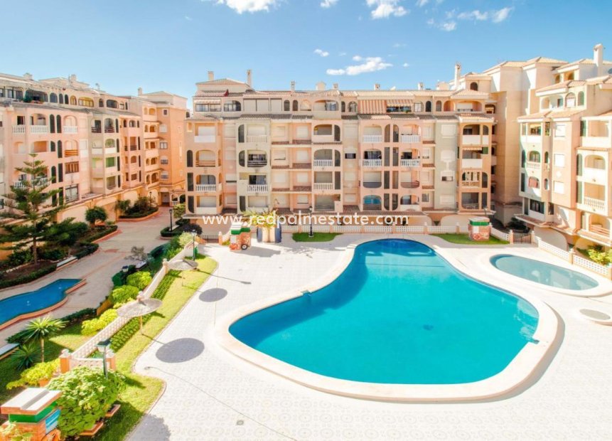 Återförsäljning - Bungalow -
Torrevieja