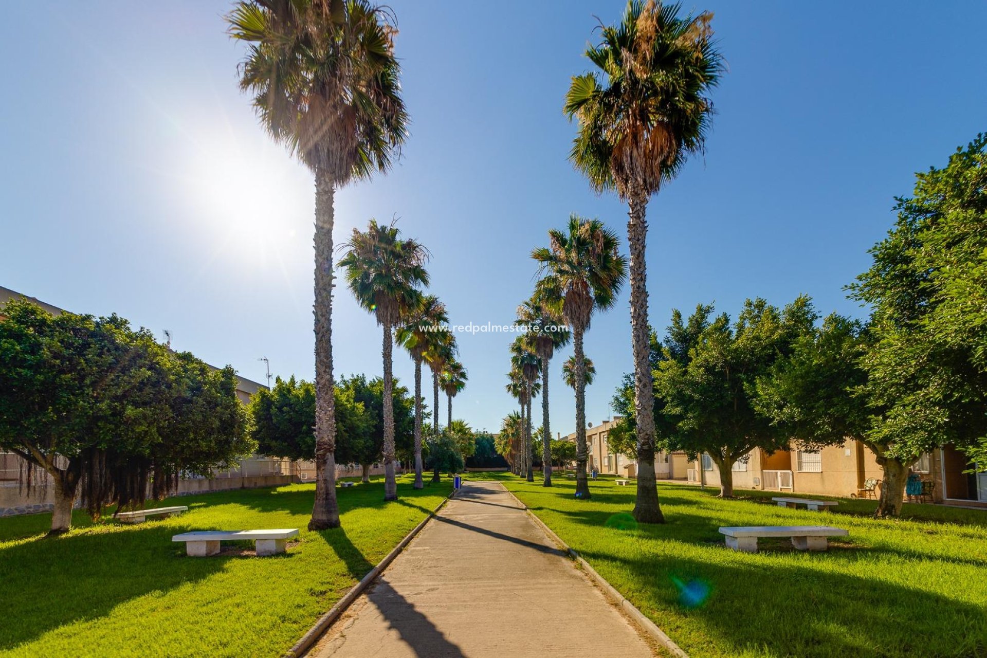 Återförsäljning - Duplex -
Torrevieja - Aguas Nuevas 2