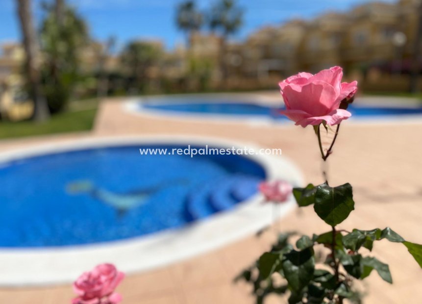 Återförsäljning - Duplex -
Torrevieja - Los Altos