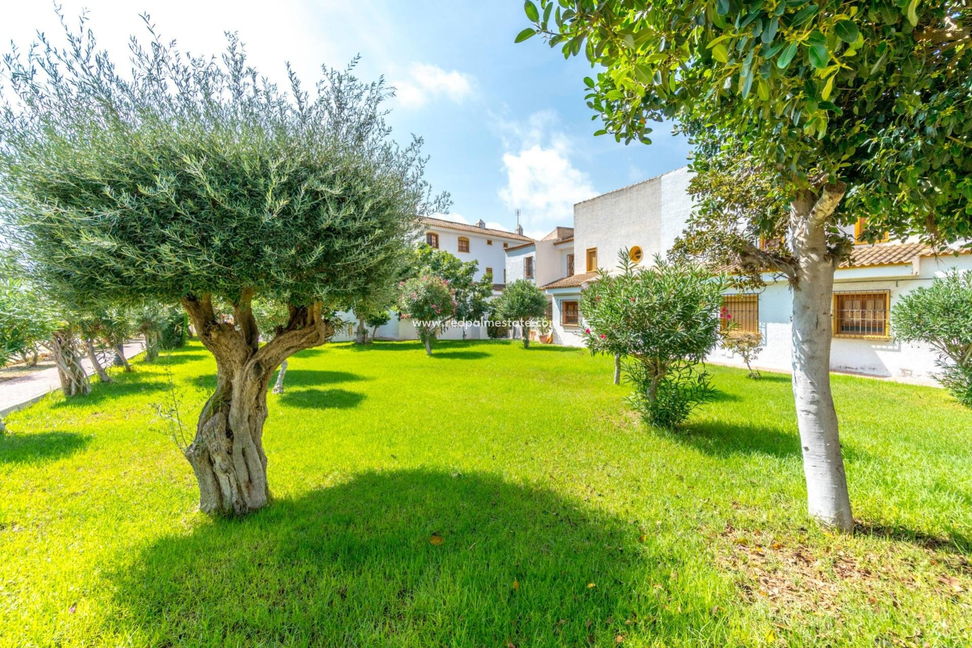 Återförsäljning - Duplex -
Torrevieja - Los Balcones - Los Altos del Edén