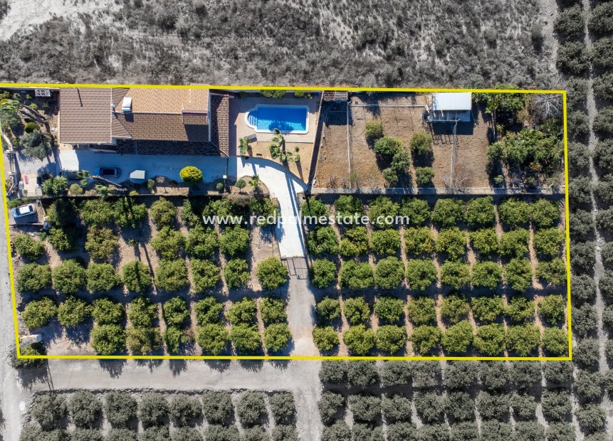 Återförsäljning - Finca / Country Property -
Orihuela - La Matanza