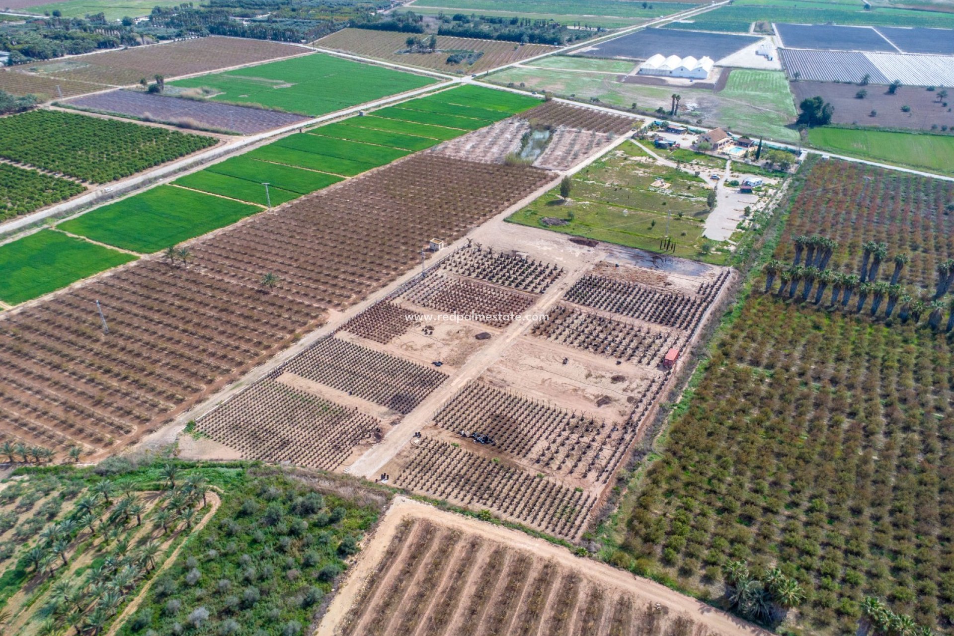 Återförsäljning - Finca / Hus på landet -
Albatera