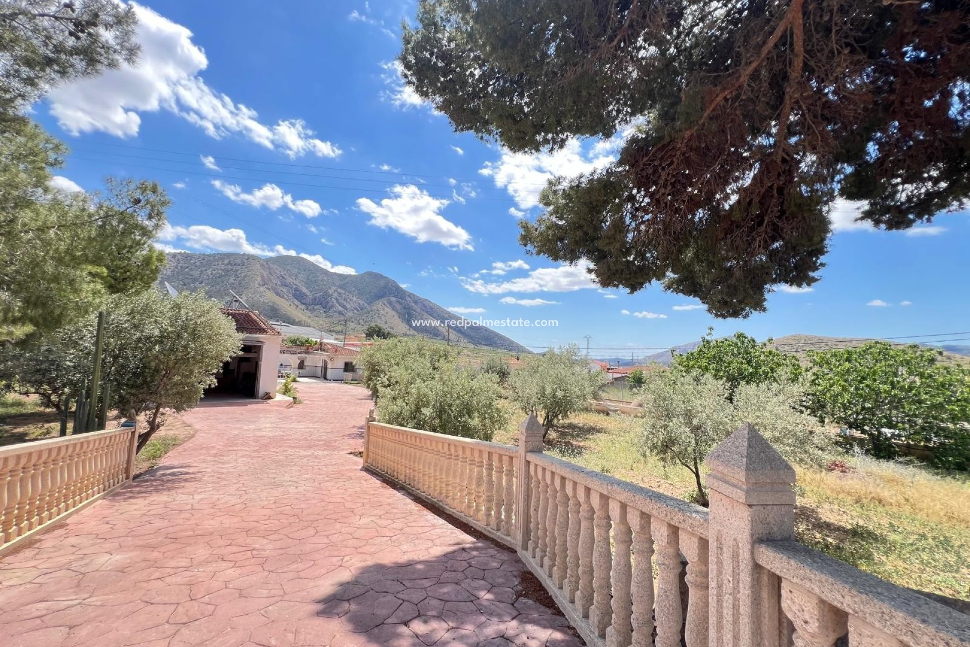 Återförsäljning - Finca / Hus på landet -
Algueña - Inland