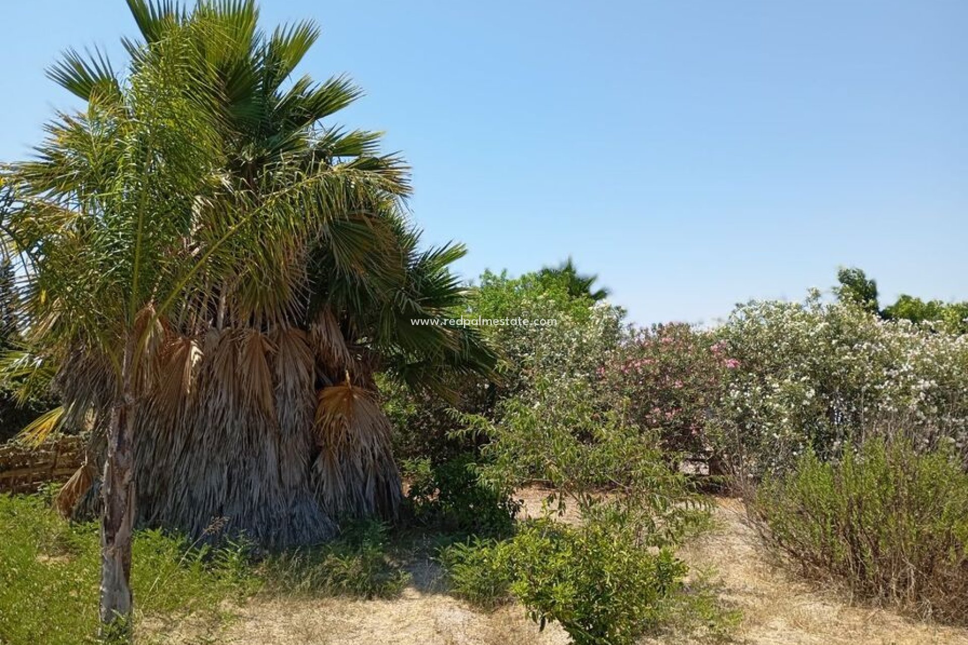 Återförsäljning - Finca / Hus på landet -
Daya Nueva - Costa Blanca
