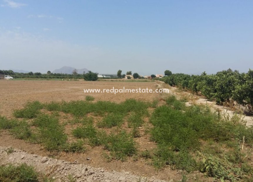 Återförsäljning - Finca / Hus på landet -
Daya Nueva - Costa Blanca