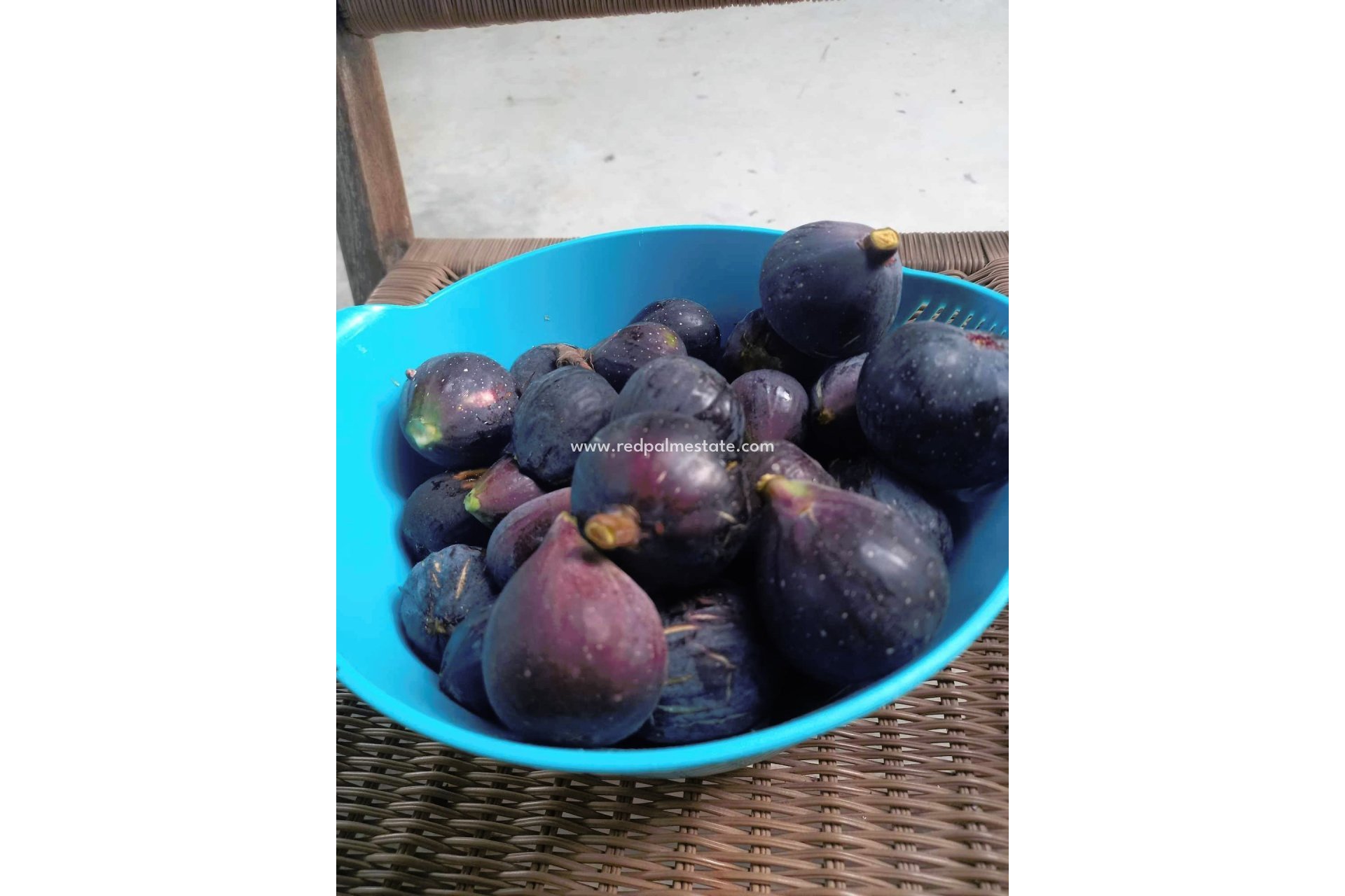 Återförsäljning - Finca / Hus på landet -
Dolores