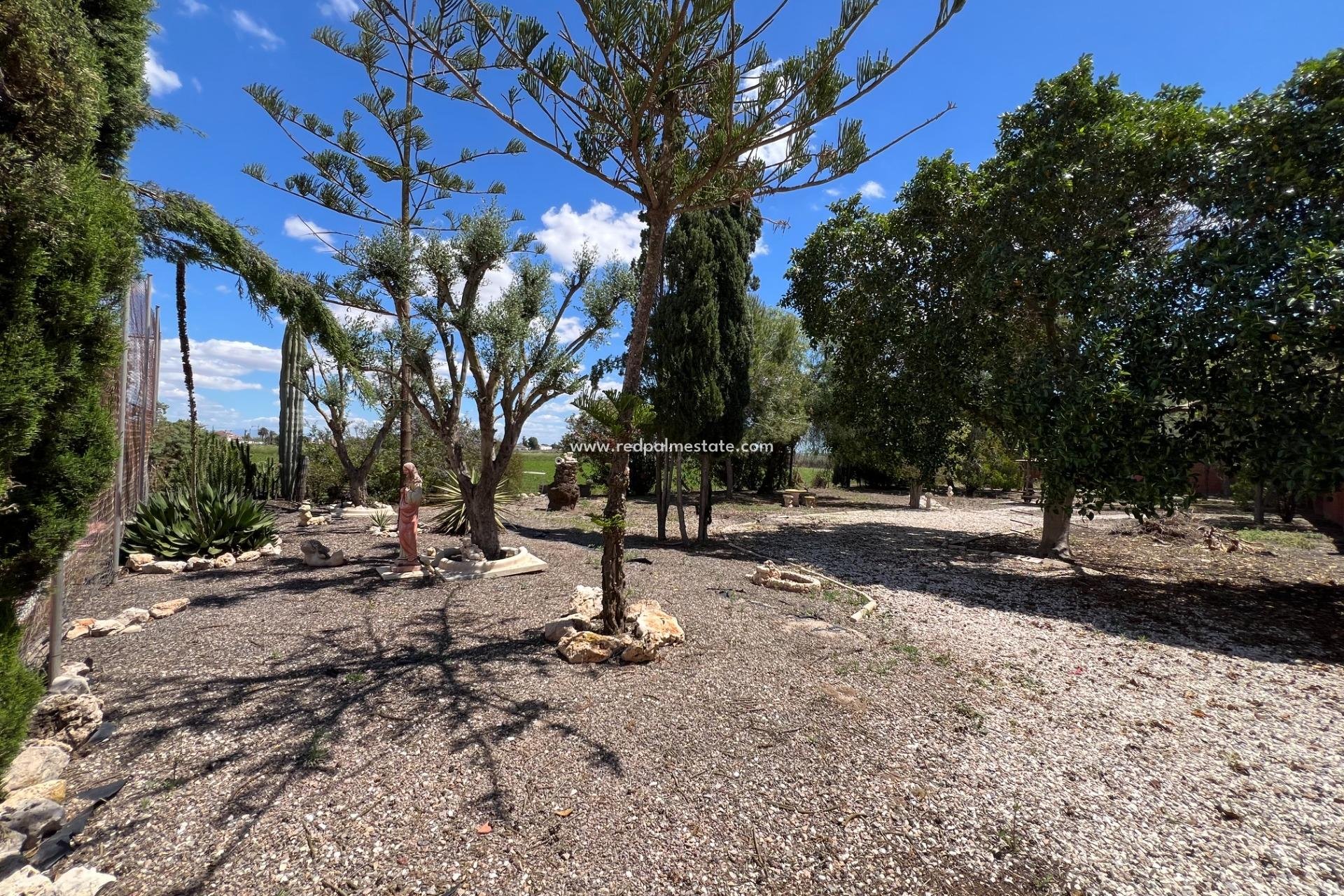 Återförsäljning - Finca / Hus på landet -
Dolores