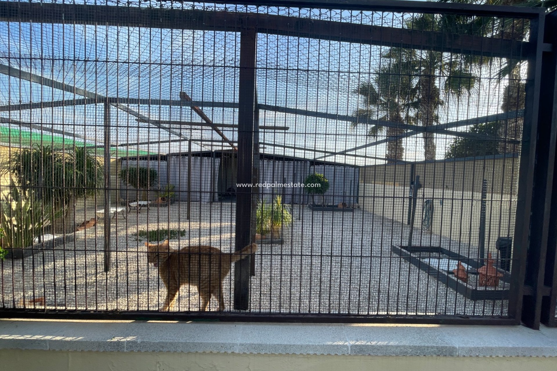 Återförsäljning - Finca / Hus på landet -
Elche - Costa Blanca