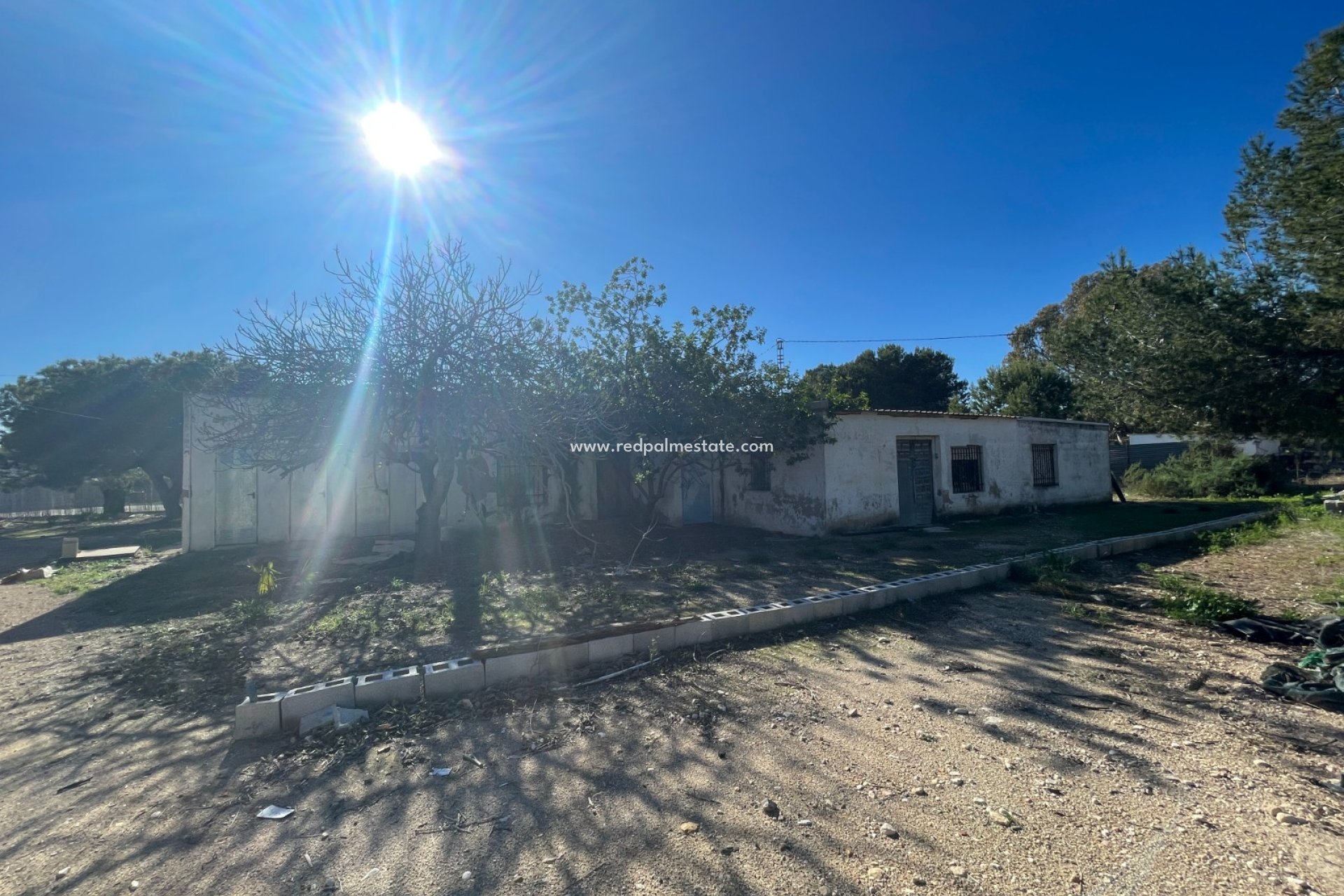 Återförsäljning - Finca / Hus på landet -
Elche - Costa Blanca