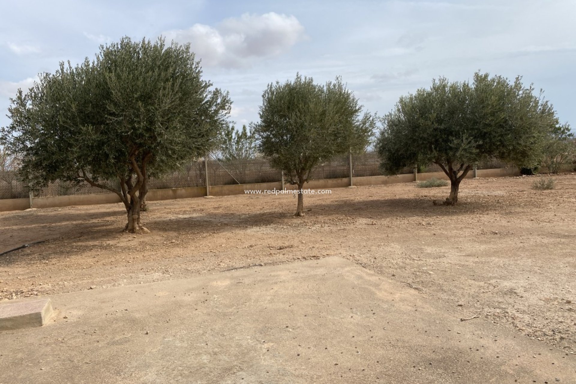 Återförsäljning - Finca / Hus på landet -
Fuente Álamo - Fuente Alamo