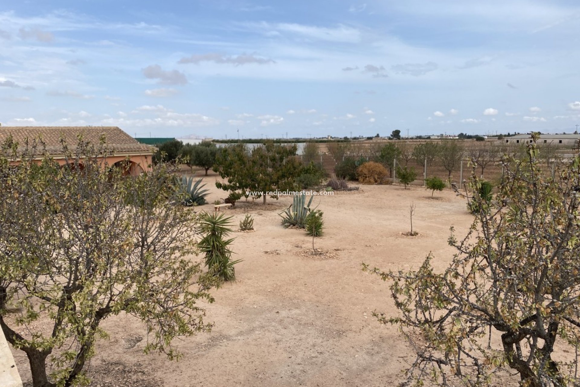 Återförsäljning - Finca / Hus på landet -
Fuente Álamo - Fuente Alamo