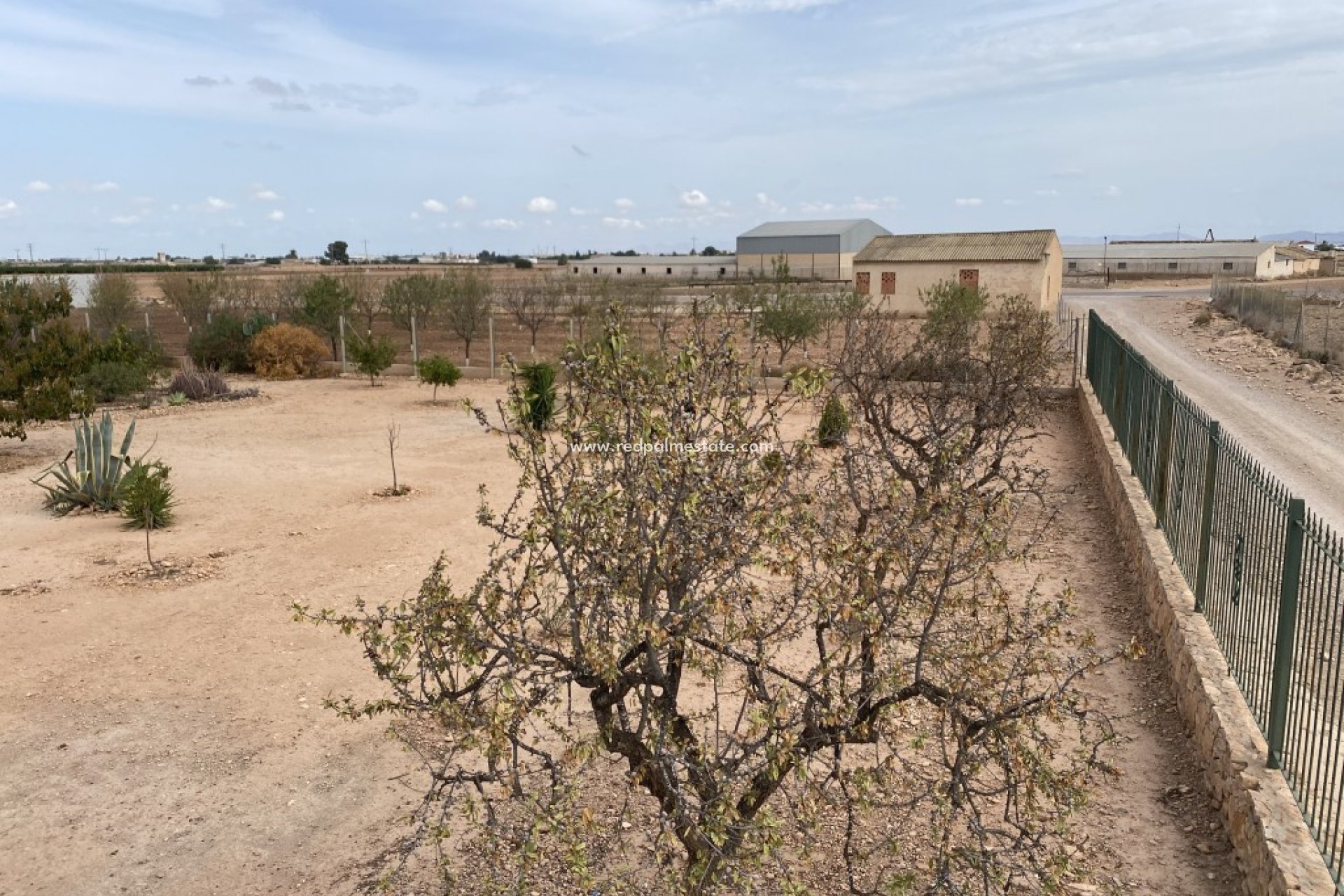 Återförsäljning - Finca / Hus på landet -
Fuente Álamo - Fuente Alamo