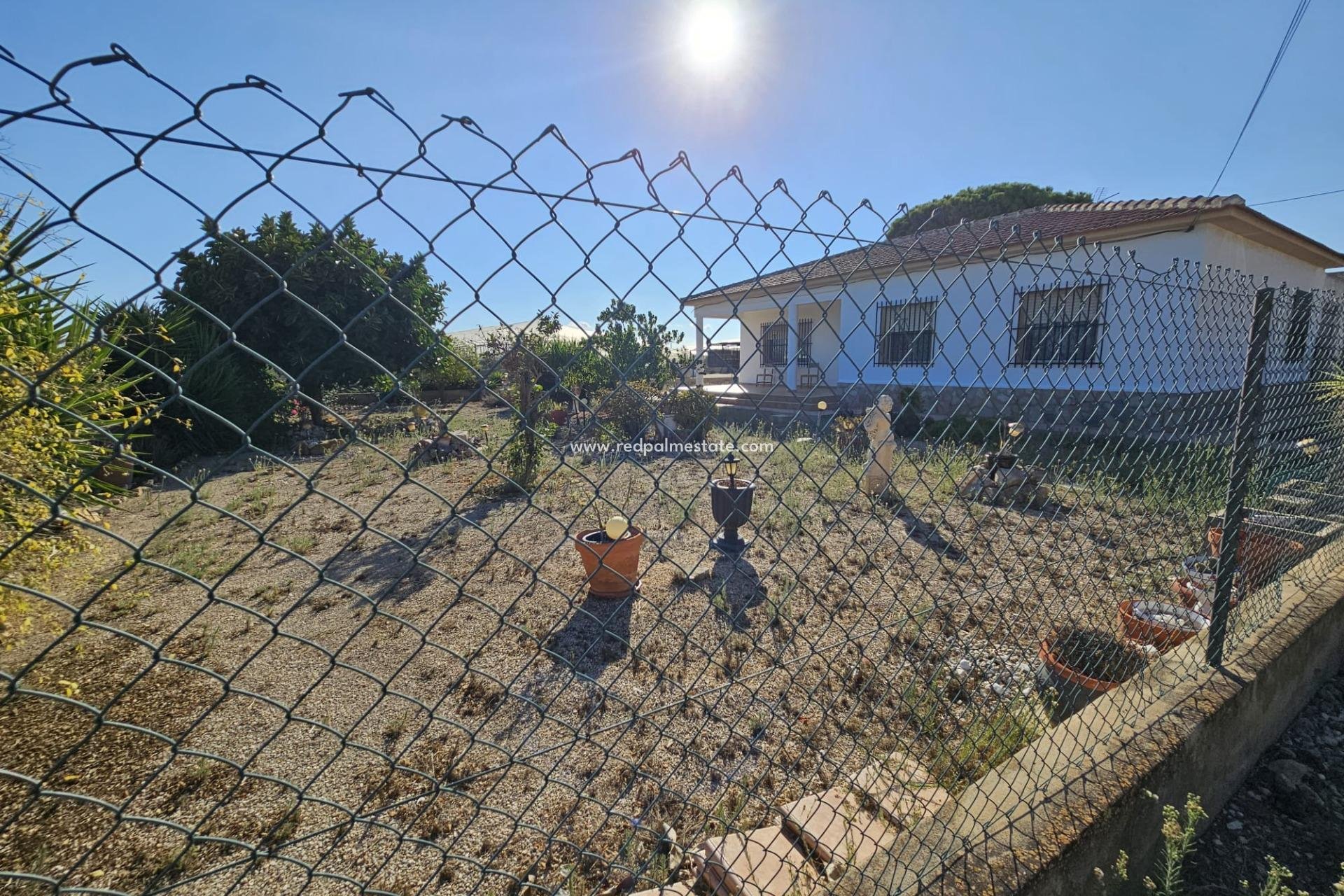 Återförsäljning - Finca / Hus på landet -
Guardamar del Segura - Buenavista