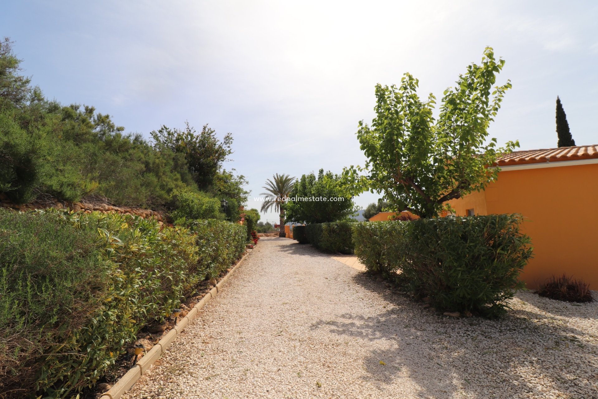 Återförsäljning - Finca / Hus på landet -
Hondón de las Nieves - Inland