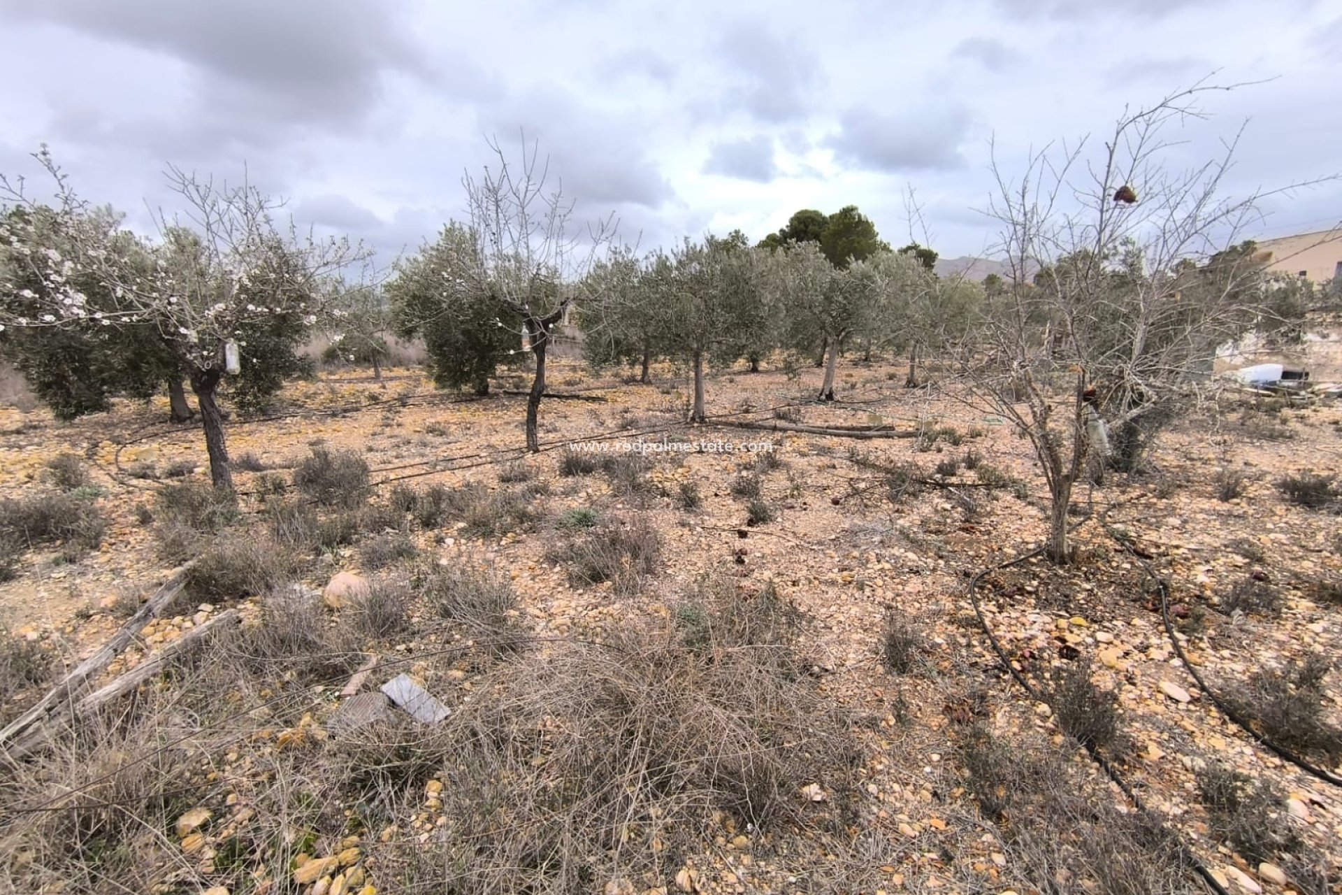 Återförsäljning - Finca / Hus på landet -
La Romana - Inland