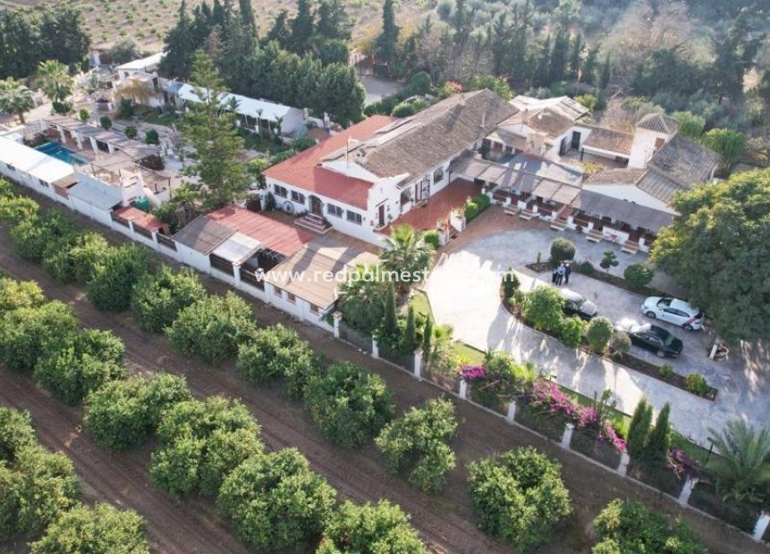 Återförsäljning - Finca / Hus på landet -
Los Alczares - Santa Rosalia