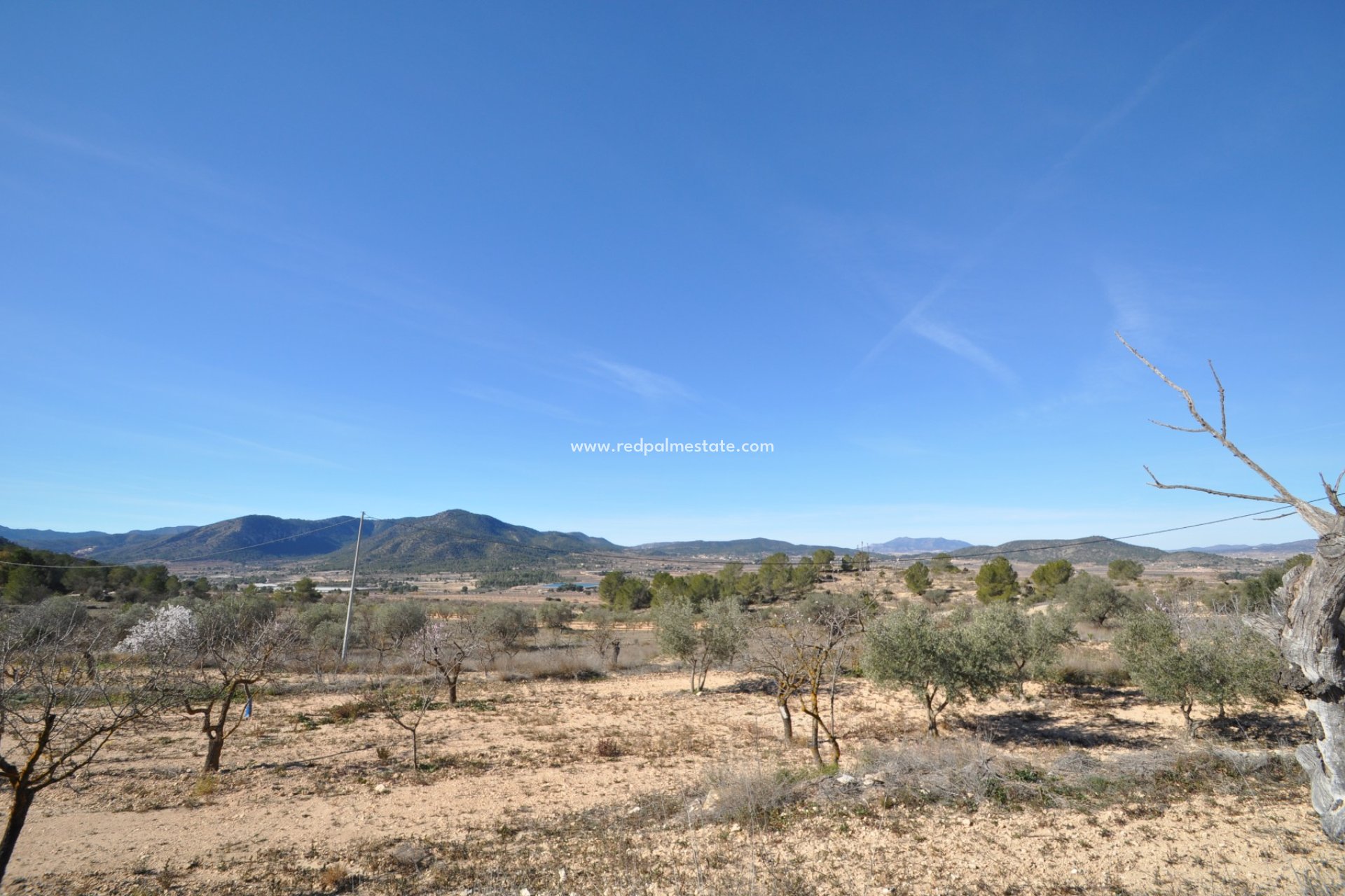 Återförsäljning - Finca / Hus på landet -
Monóvar/Monóver - Inland