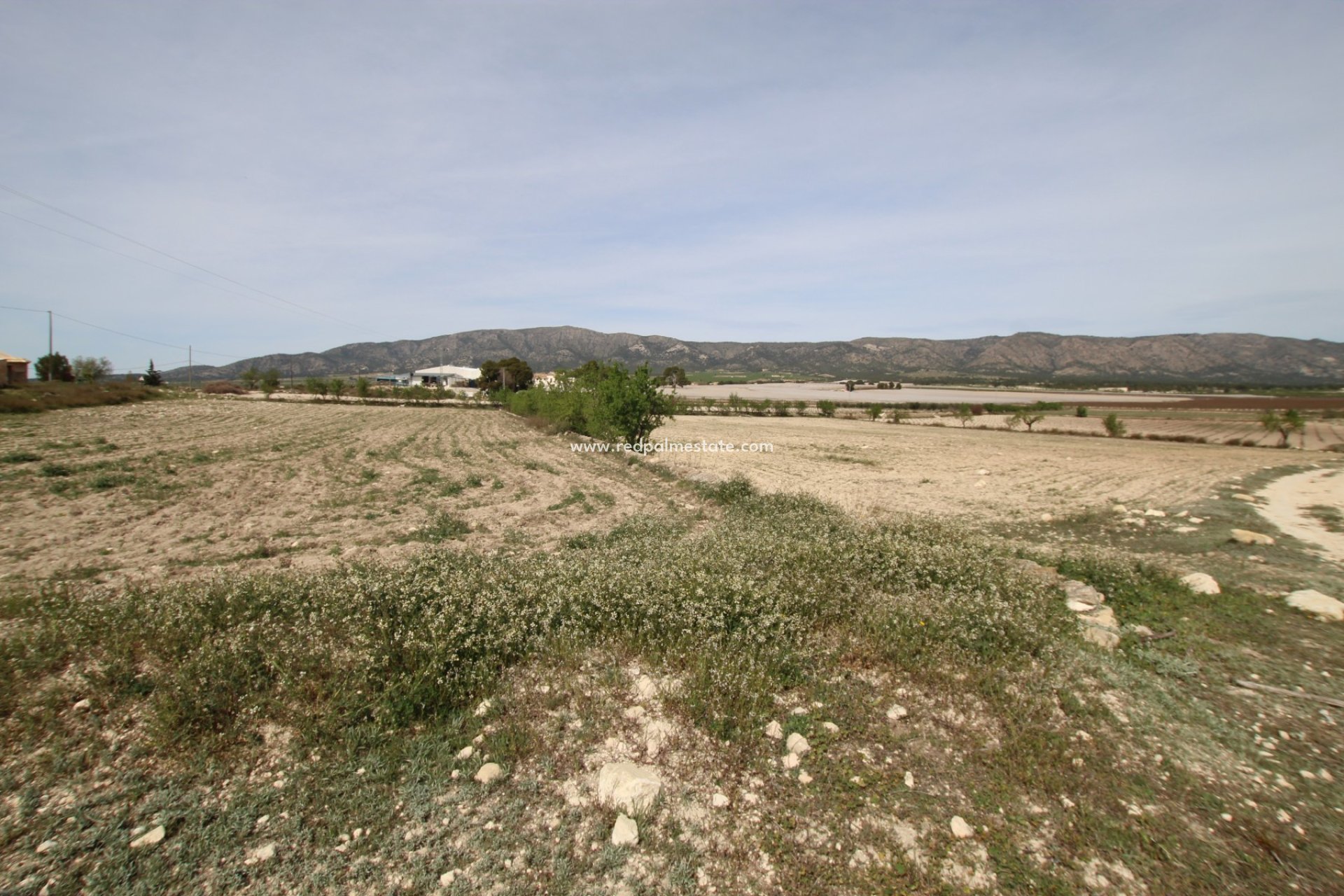 Återförsäljning - Finca / Hus på landet -
Monóvar/Monóver - Inland