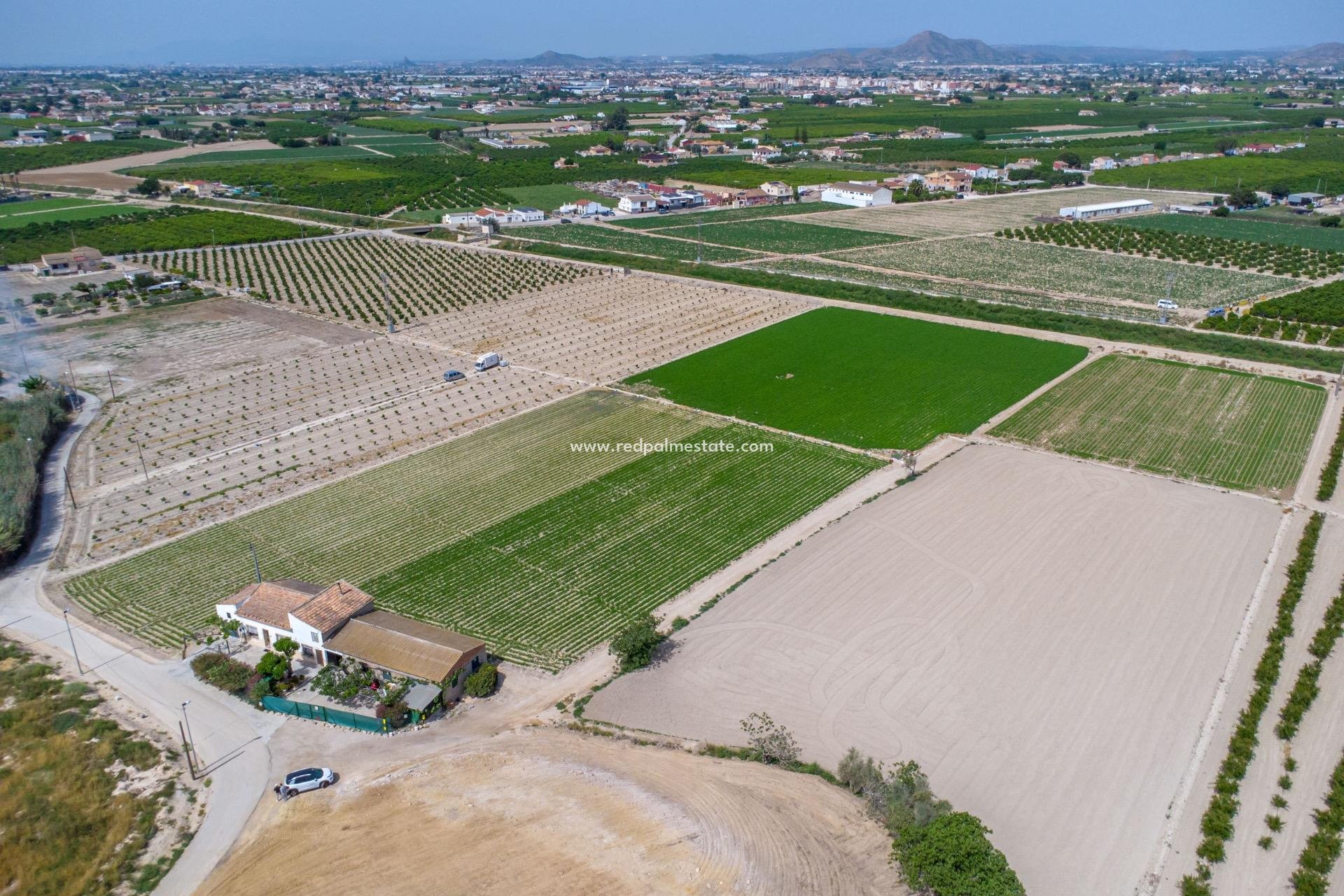 Återförsäljning - Finca / Hus på landet -
Orihuela Costa - Torremendo