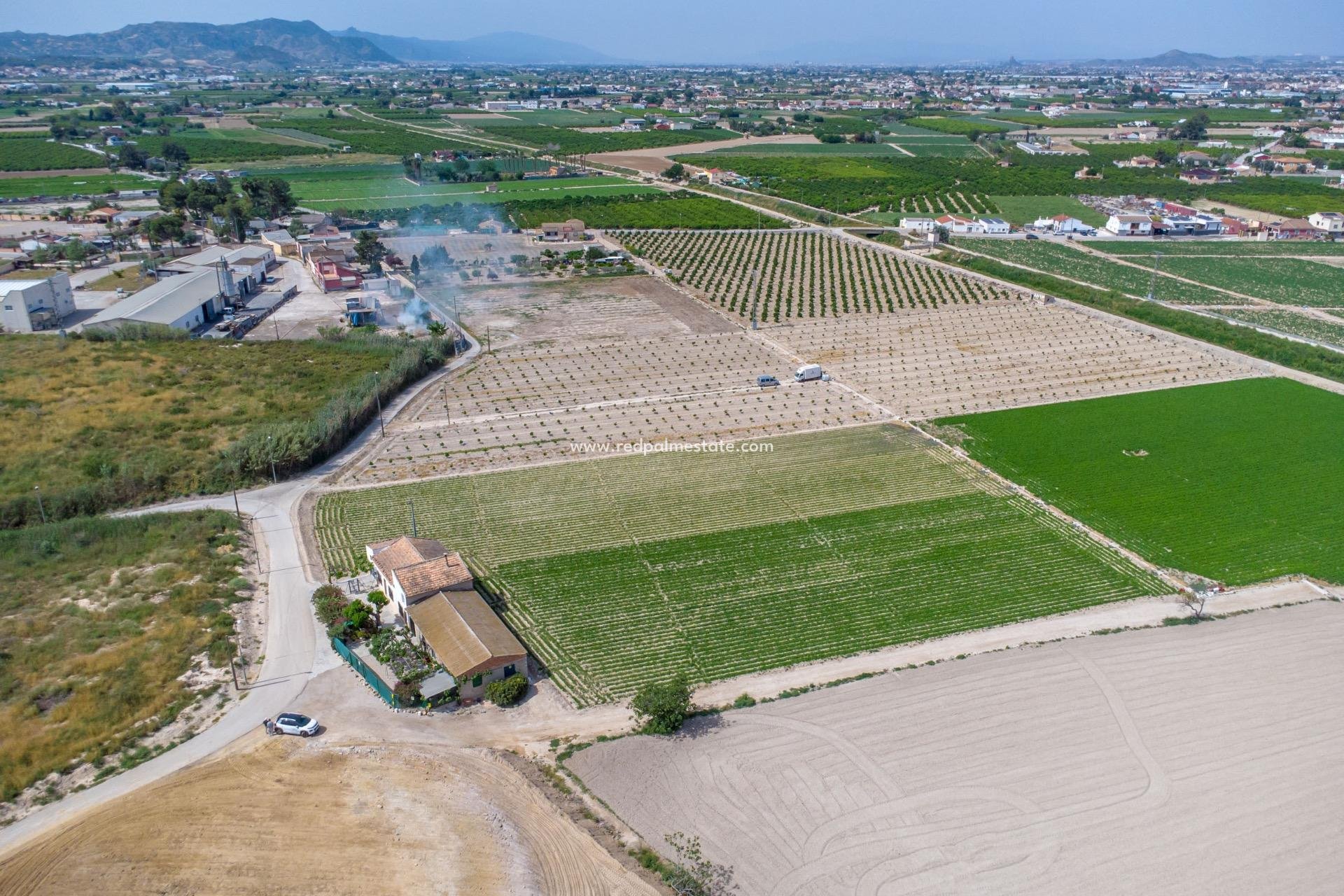 Återförsäljning - Finca / Hus på landet -
Orihuela Costa - Torremendo