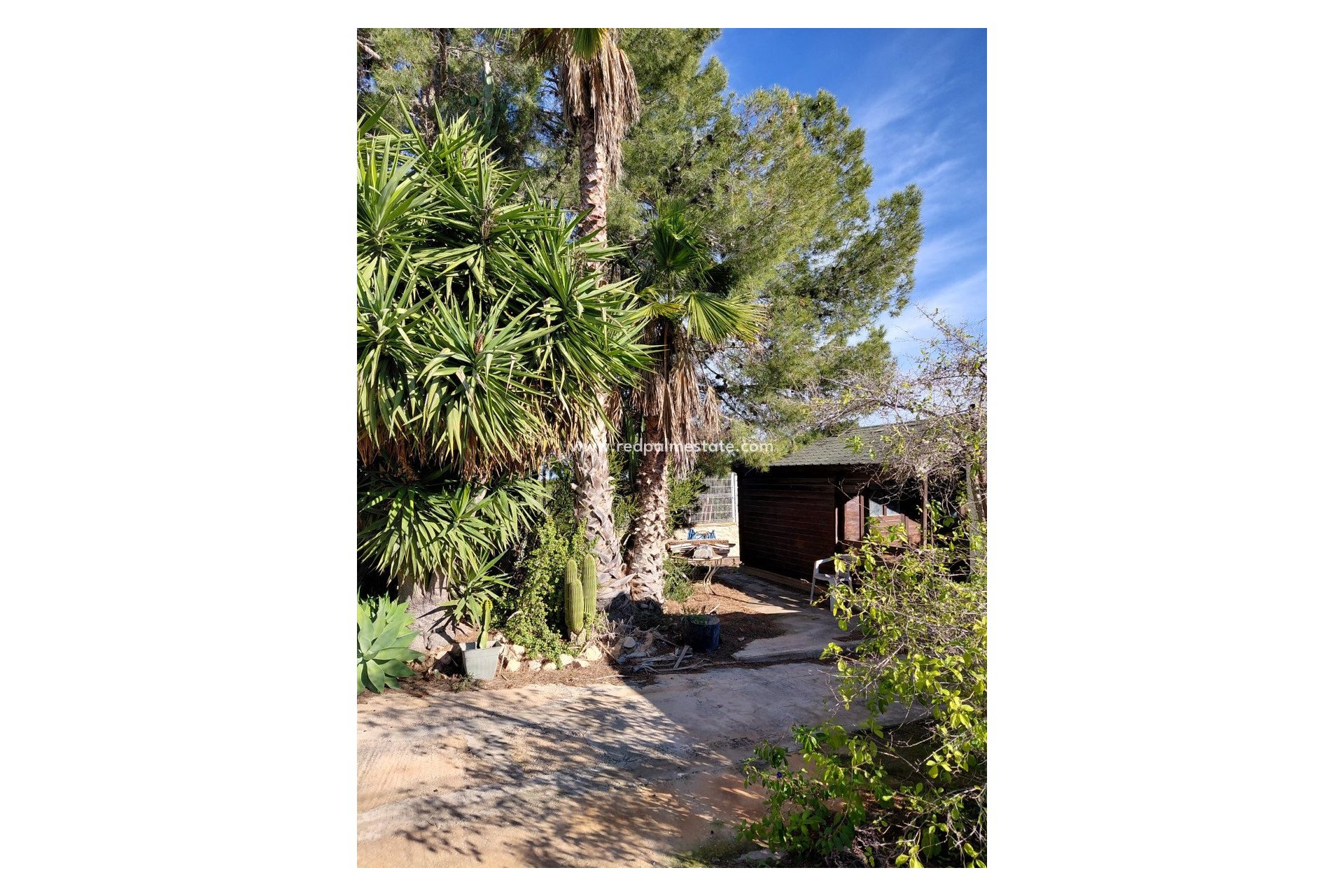 Återförsäljning - Finca / Hus på landet -
Orihuela - Inland