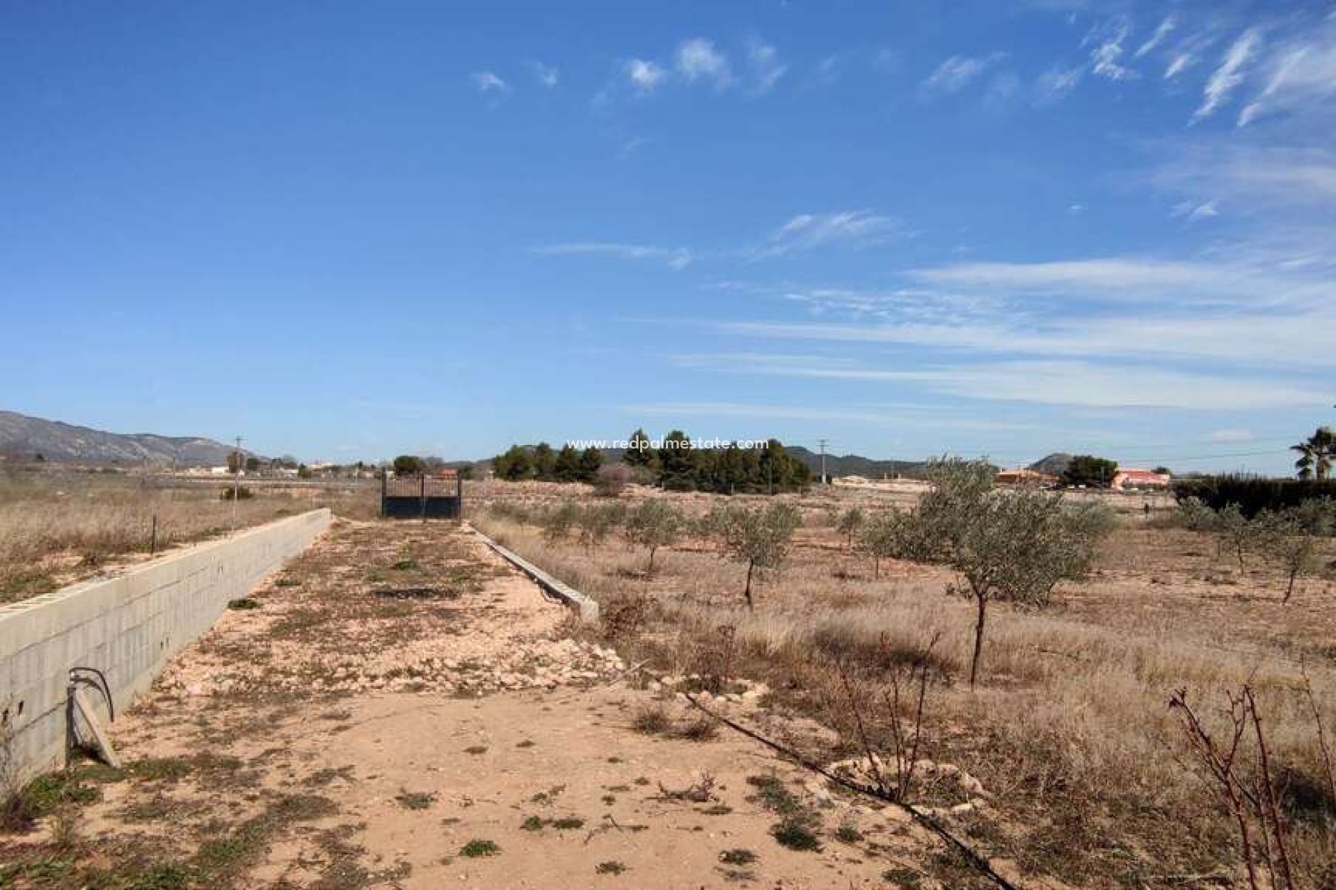 Återförsäljning - Finca / Hus på landet -
Pinoso - Inland