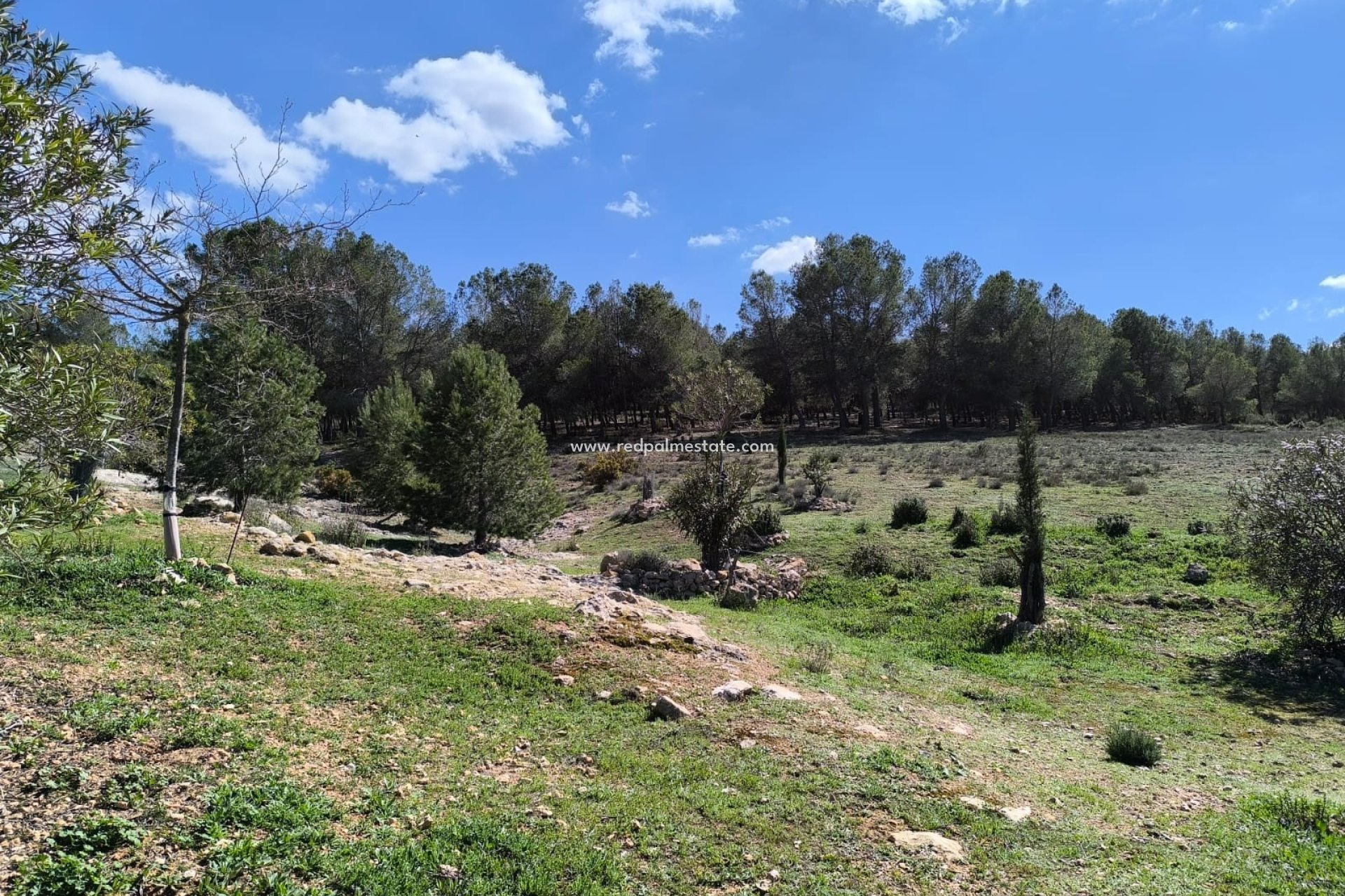 Återförsäljning - Finca / Hus på landet -
Villena - Inland