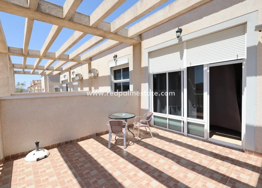 Återförsäljning - Företag -
San Miguel de Salinas - Urbanizaciones