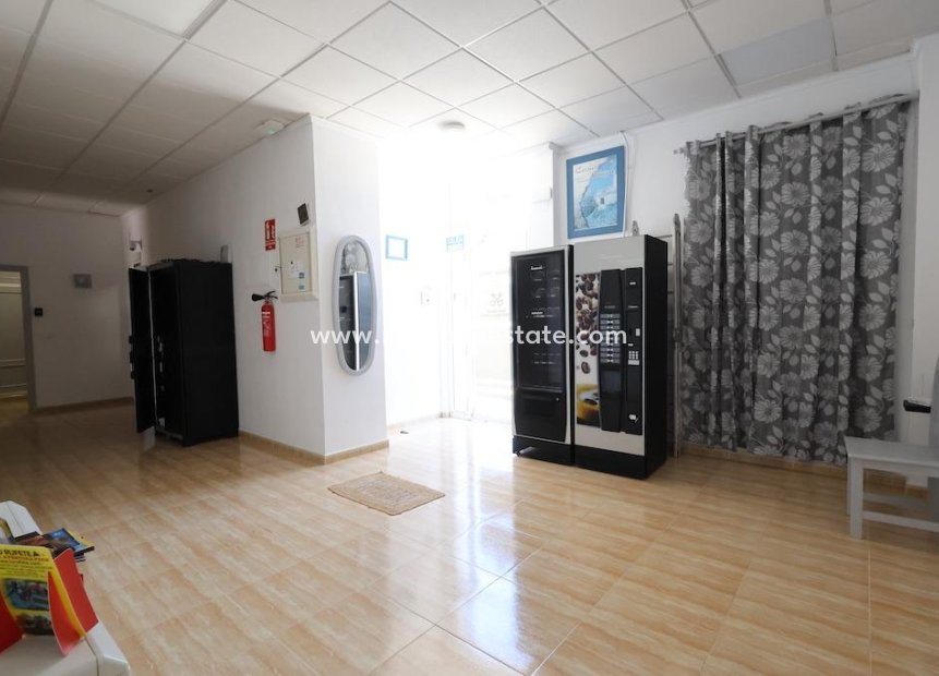 Återförsäljning - Företag -
San Miguel de Salinas - Urbanizaciones