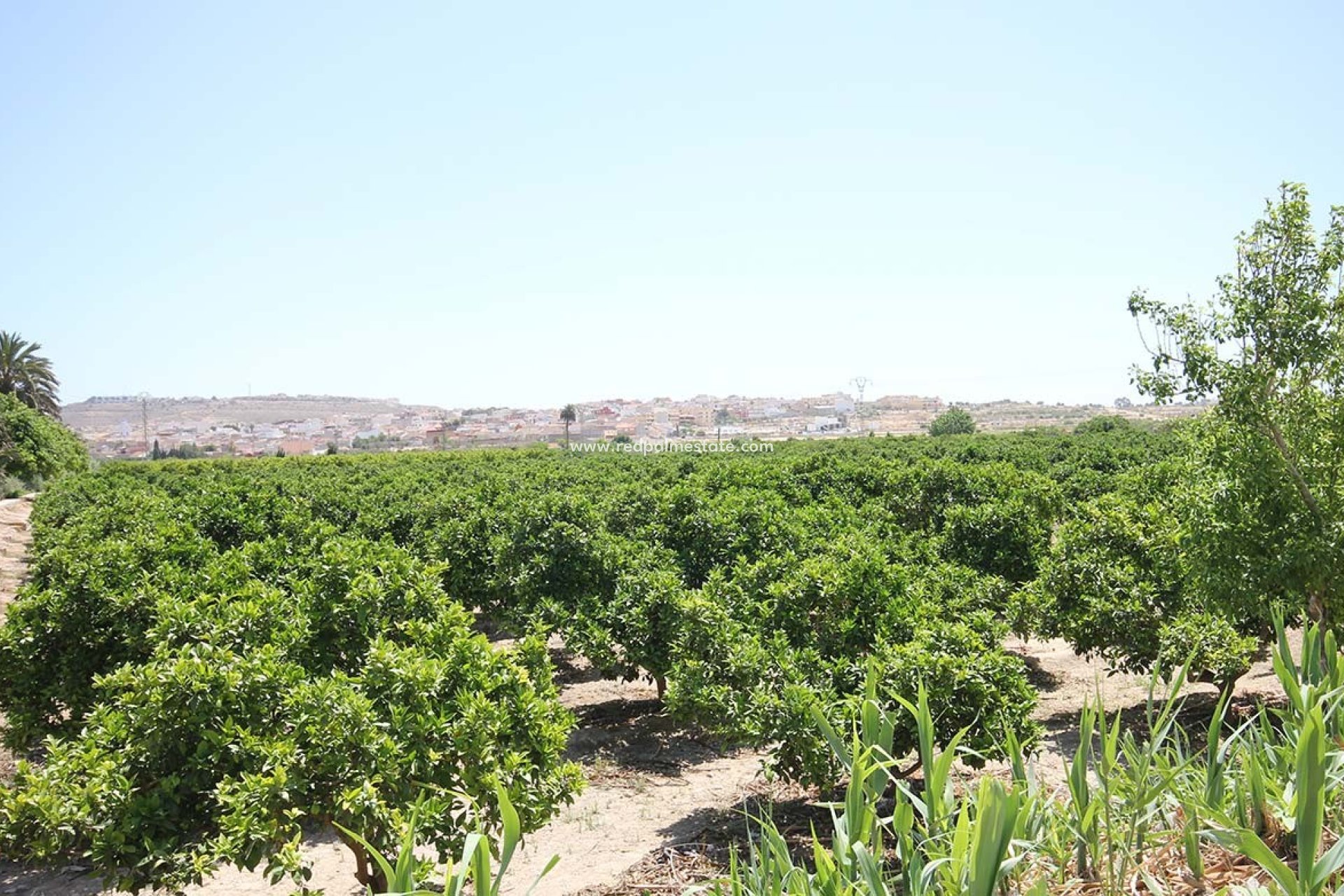 Återförsäljning - Fristående villa -
Benijofar - Costa Blanca