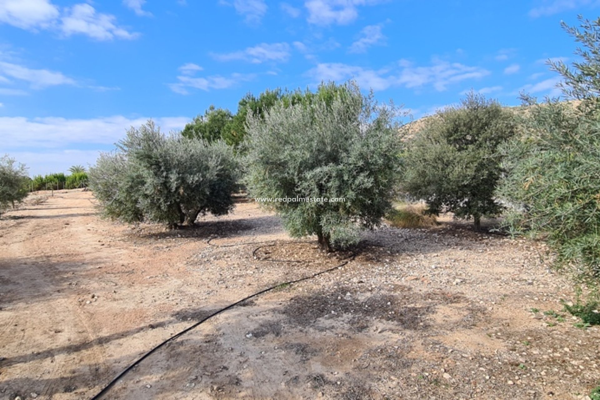 Återförsäljning - Fristående villa -
Orihuela Costa - Inland