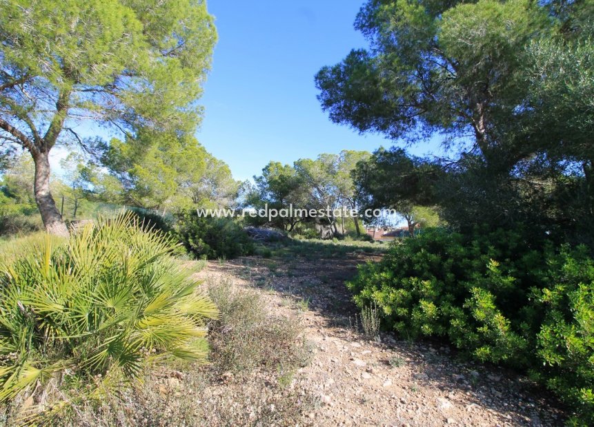 Återförsäljning - Fristående villa -
Orihuela Costa - Mil Palmeras