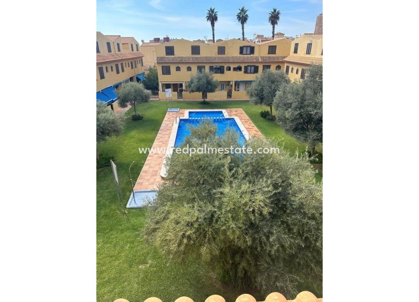 Återförsäljning - Fristående villa -
Torrevieja - Costa Blanca