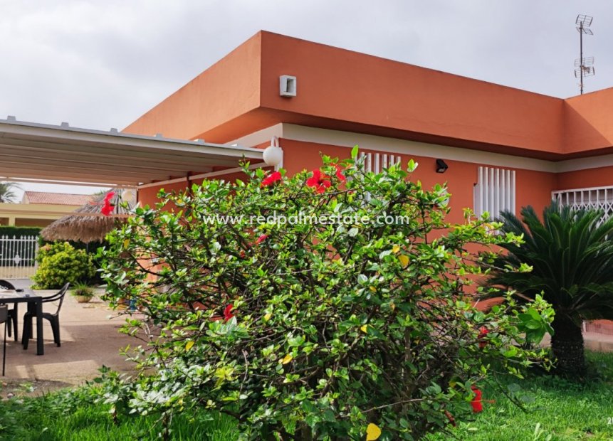 Återförsäljning - Fristående villa -
Torrevieja - La Veleta