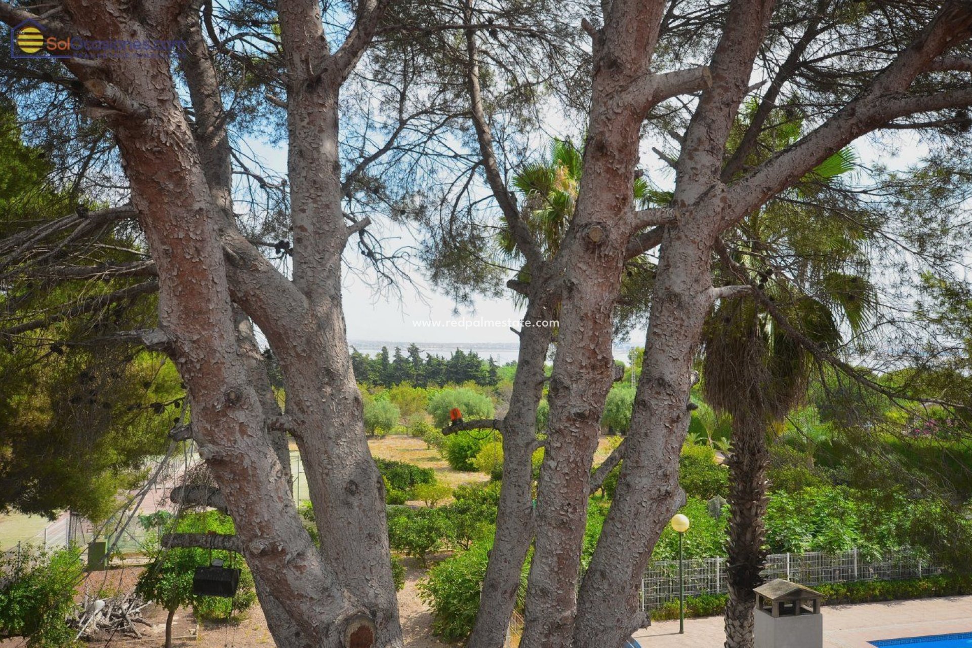 Återförsäljning - Fristående villa -
Torrevieja - Los Balcones