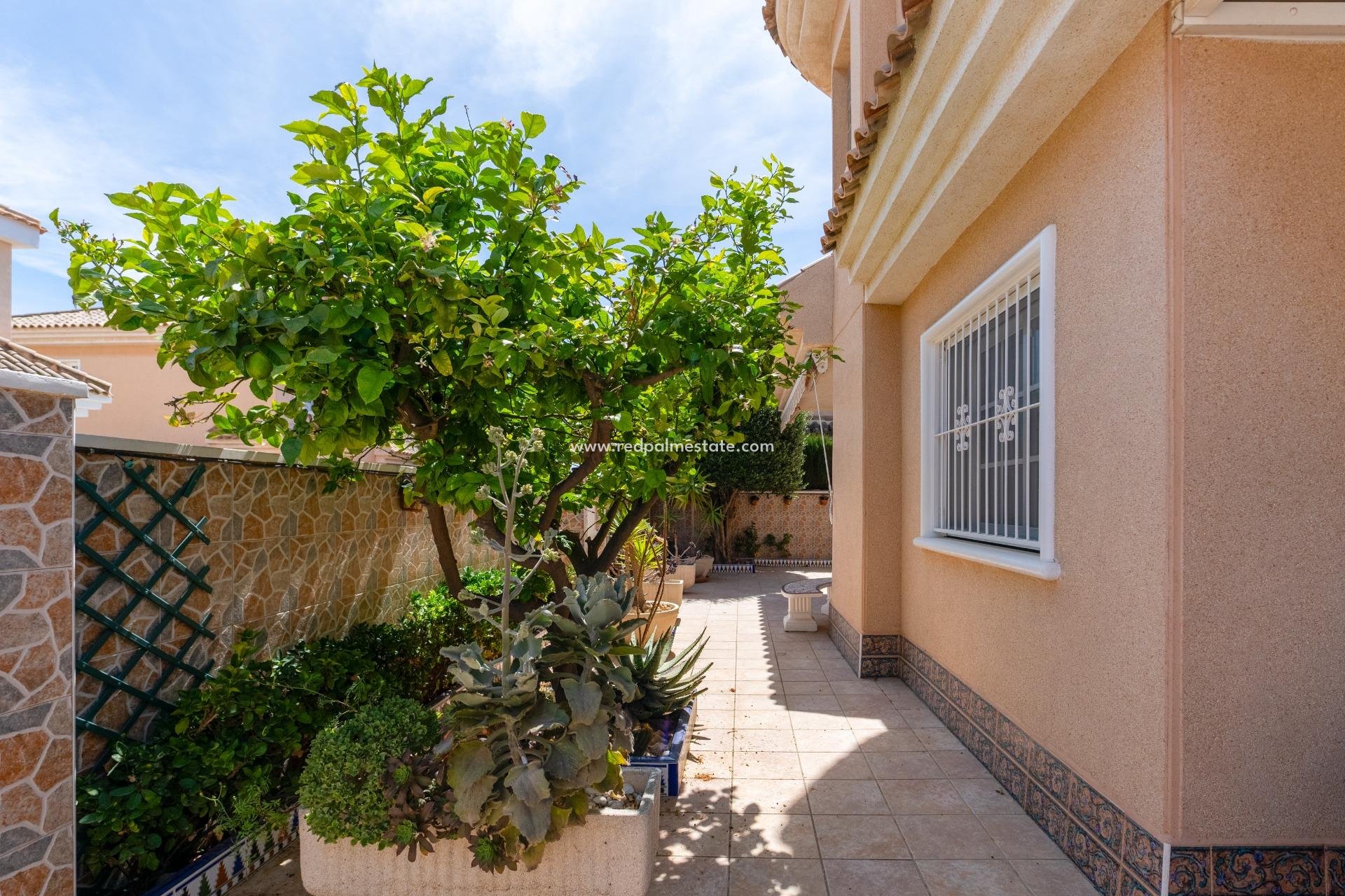 Återförsäljning - Fristående villa -
Torrevieja - Punta Prima