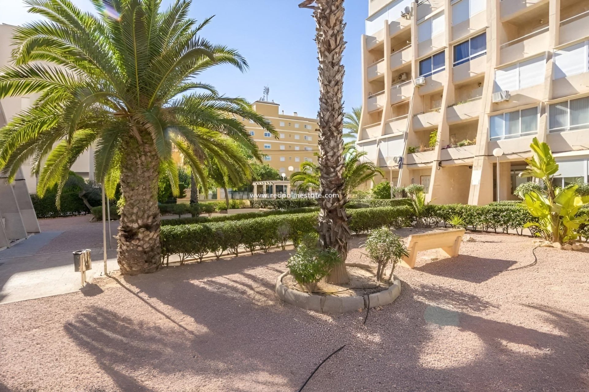 Återförsäljning - Fristående villa -
Torrevieja - Torreblanca