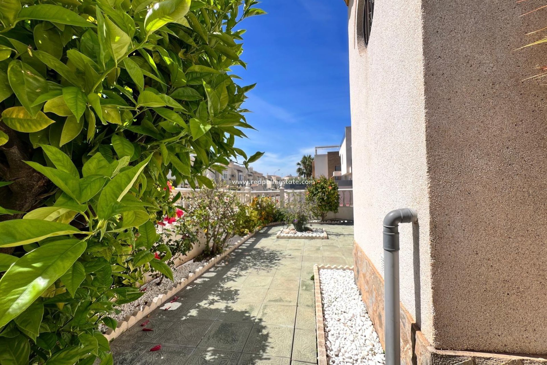 Återförsäljning - Fyrfamiljshus -
Torrevieja - La Mata