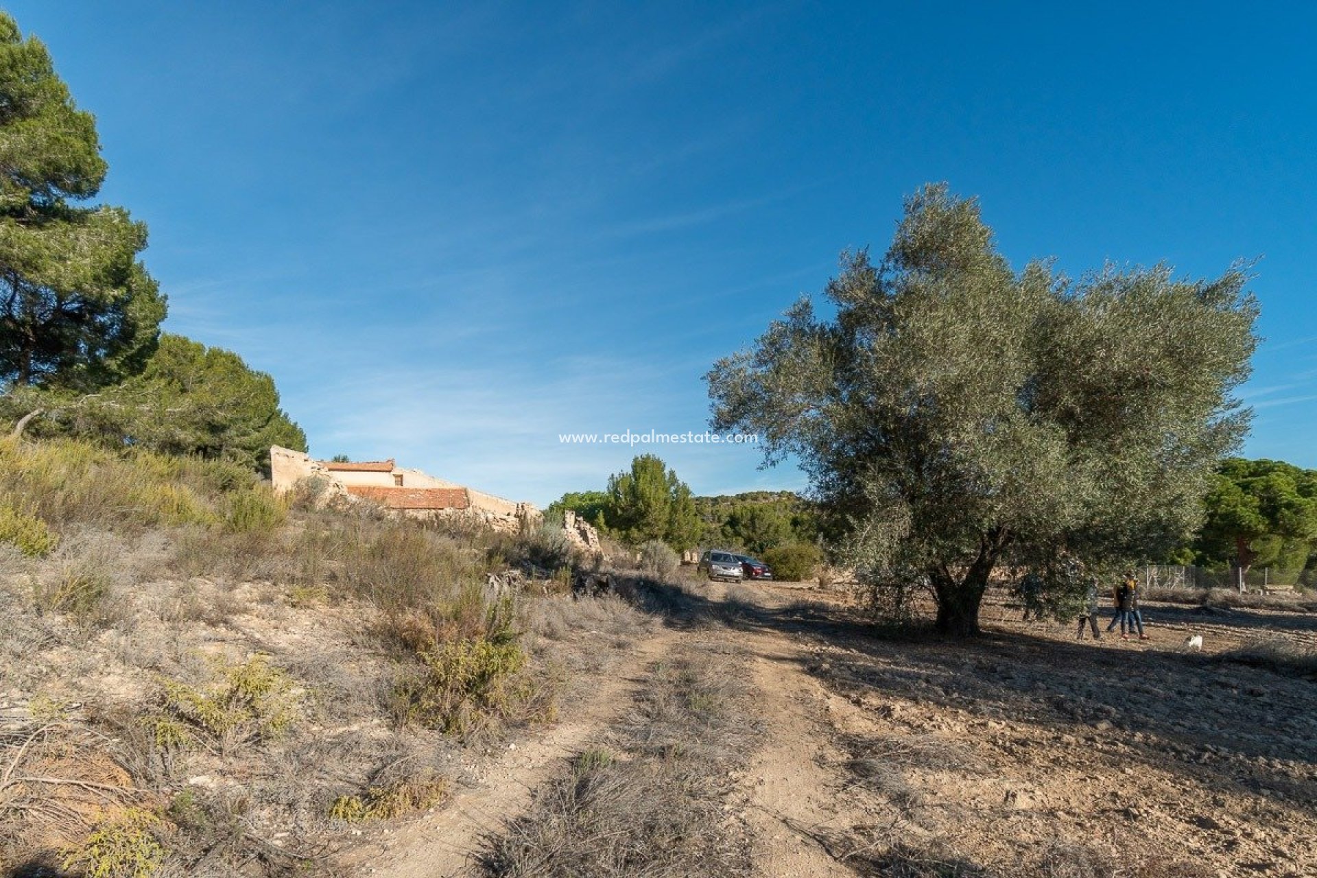 Återförsäljning - Hus på landet -
Pilar de la Horadada - Pinar de la Perdiz