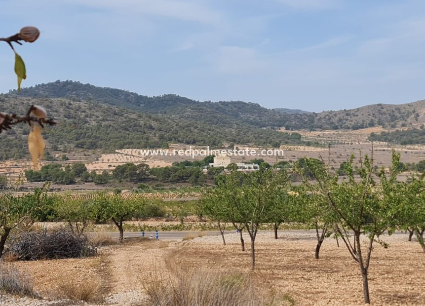 Återförsäljning - Komplott -
Algueña - Inland