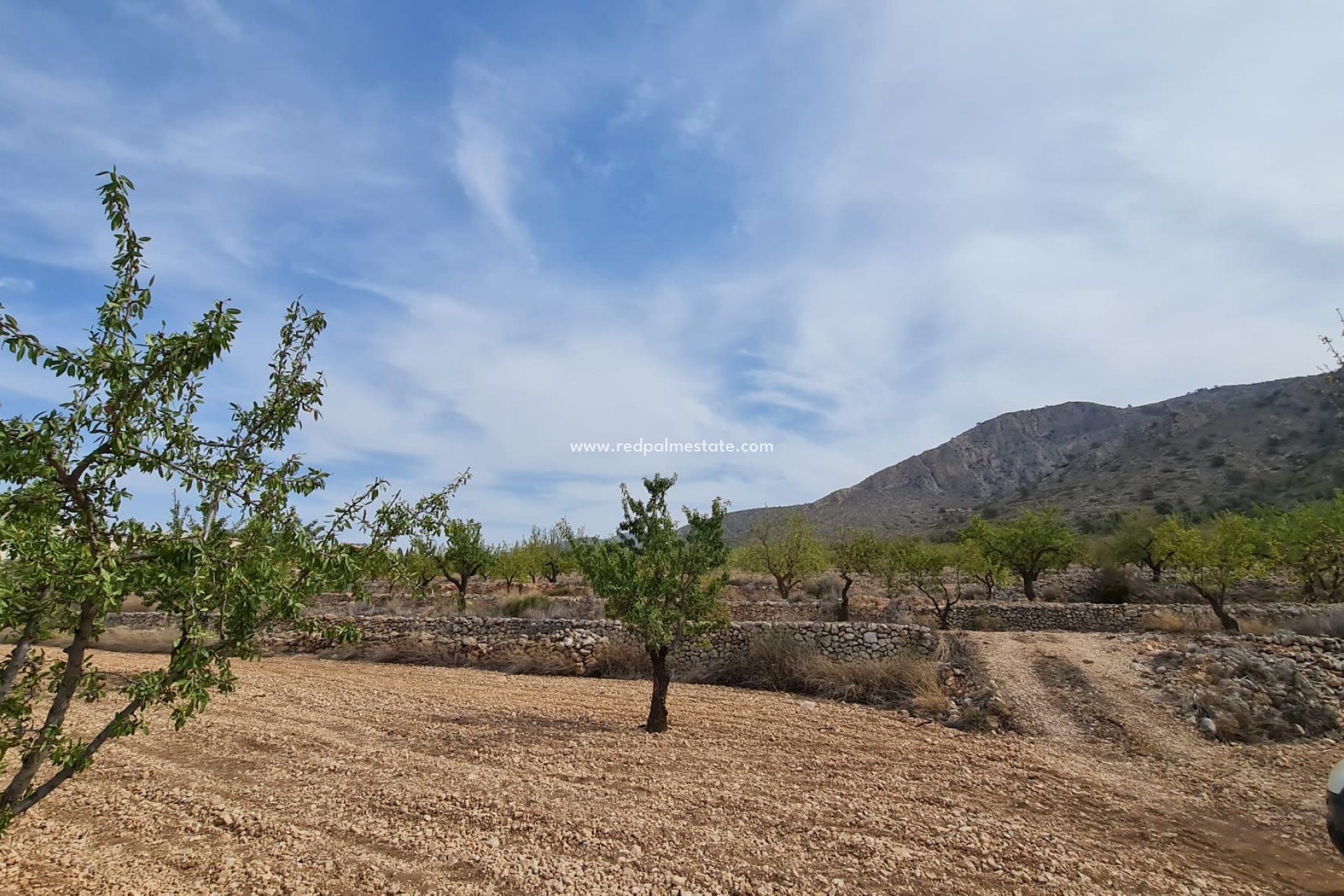Återförsäljning - Komplott -
Algueña - Inland