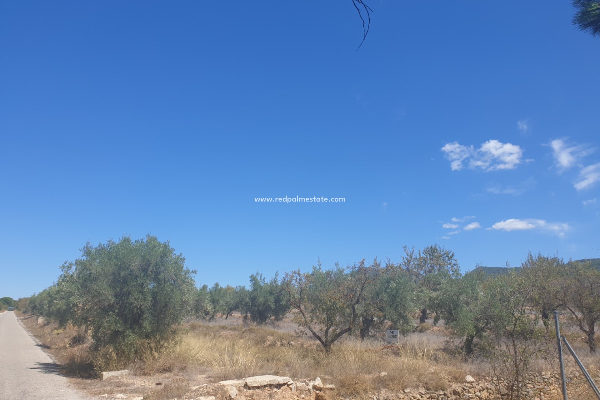 Återförsäljning - Komplott -
Biar - Inland